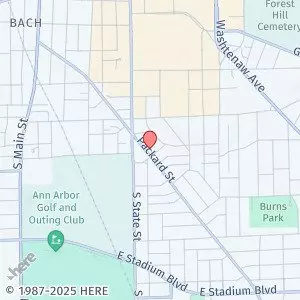 743 Packard Apartment for rent in Ann Arbor, MI