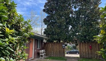 Corner 1Bed Great Location, Bike Storage, All Dogs Welcome! Apartment for rent in Portland, OR