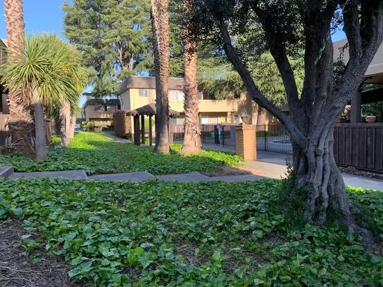 Mediterranean Apartments Apartment for rent in San Jose, CA