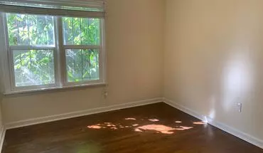 2 of 10 August Free Rent! Gorgeous Newly Refinished Hardwood Flooring! 1Bed + Office Next To Seattle University! Apartment for rent in Seattle, WA