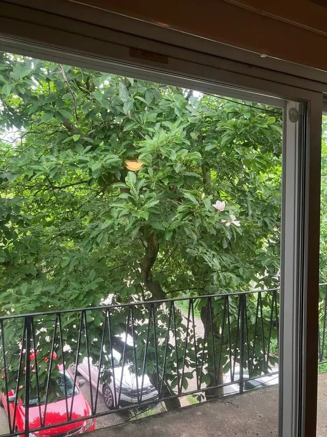 116 W 8th St Apartment for rent in Aspinwall, PA