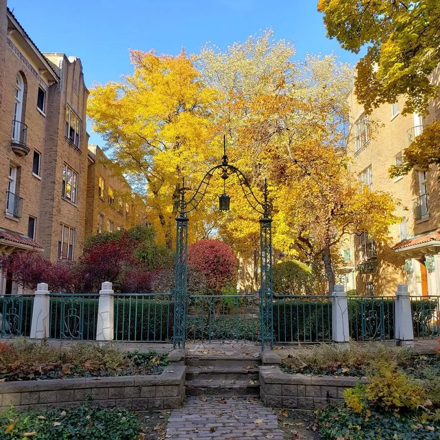 Edgewater Studio With Heat And Cooking Gas Included ~ No Security Deposit ~ Cat Friendly Apartment for rent in Chicago, IL