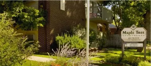 Maple Tree Apartments Apartment for rent in Denver, CO