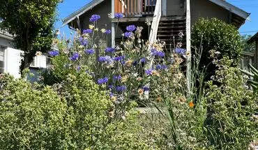 2 of 15 812 NE Killingsworth Ct Apartment for rent in Portland, OR