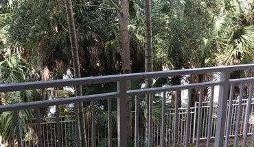 3 of 25 Large 3 Bedroom Apartment for rent in Westpalm Beach, FL