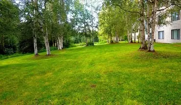 4 of 10 Deluxe Two Bedroom In South Anchorage On The Creek Apartment for rent in Anchorage, AK