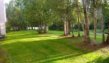 5 of 10 Deluxe Two Bedroom In South Anchorage On The Creek Apartment for rent in Anchorage, AK