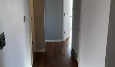 4 of 24 1207 Scott Ave House for rent in St Louis, MO