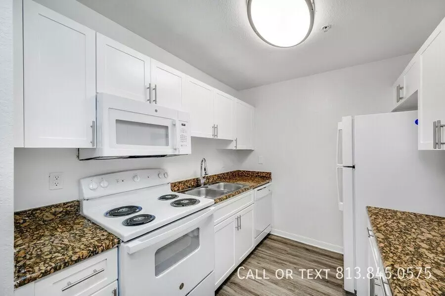 13036 Kain Palms Ct Apartment for rent in Tampa, FL