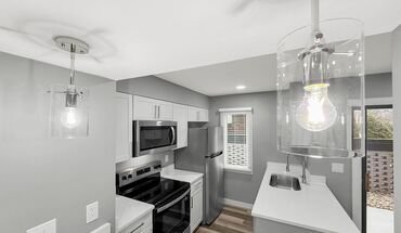 Elizabeth Green Apartment for rent in Charlotte, NC