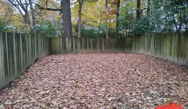 2 of 23 Welcome To 6279 Kirby Downs Dr- Half Off Full Months Rent !!! House for rent in Memphis, TN