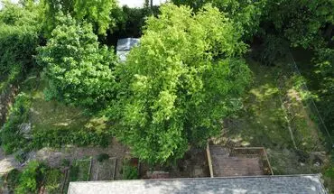 2 of 23 Charming Home In A South Columbia House for rent in Columbia, MO