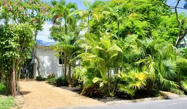 2 of 52 Fully Renovated 3/3 Northwood Home With Guest Cottage – Move-in Ready! House for rent in West Palm Beach, FL