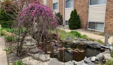 3 of 20 1007 Francis Dr Apartment for rent in Champaign, IL