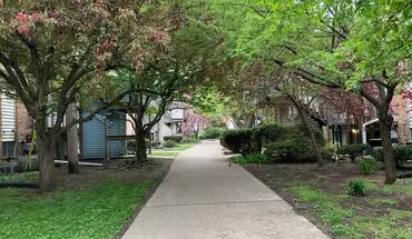 5 of 20 1007 Francis Dr Apartment for rent in Champaign, IL