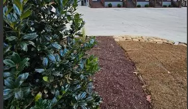 3 of 11 1505 Tilghman Rd Apartment for rent in Wilson, NC