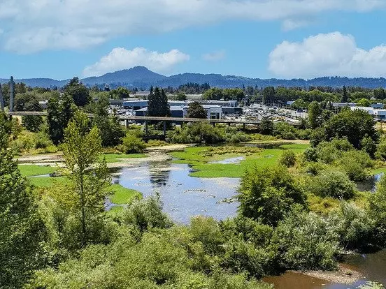 Beautiful 1Bed 1Bath Apartment For Rent Apartment for rent in Eugene, OR Beautiful 1Bed 1Bath Apartment For Rent Apartment for rent in Eugene, OR