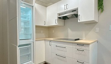 A Large Cozy, Fully Furnished One Bedroom For Rent Apartment for rent in Dorchester, MA