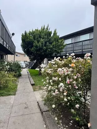 921 University Ave Apartment for rent in Salinas, CA