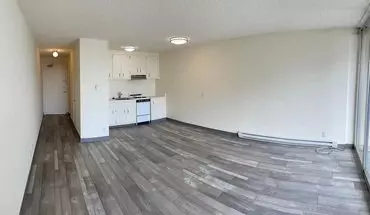 2 of 14 Bright Clean Studio In A Great Location In Lower Nob Hill House for rent in San Francisco, CA