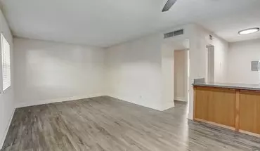 4 of 7 Live In The Heart Of South Tampa Without Going Broke!! House for rent in Tampa, FL