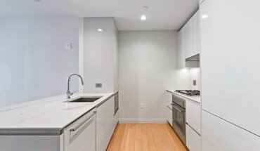 Cozy 1 Bedroom And 1 Bathroom. Apartment for rent in Boston, MA