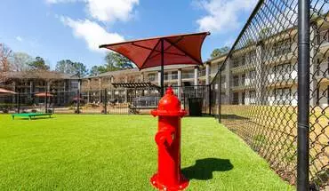 4 of 22 Elevate Twenty Three Apartment for rent in Smyrna, GA