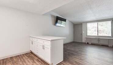 Elevate Woodstock Apartment for rent in Woodstock, GA