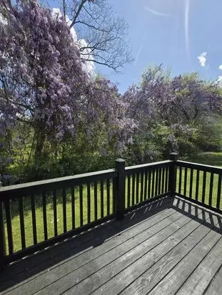 23 Laney Ln Apartment for rent in Rossville, GA
