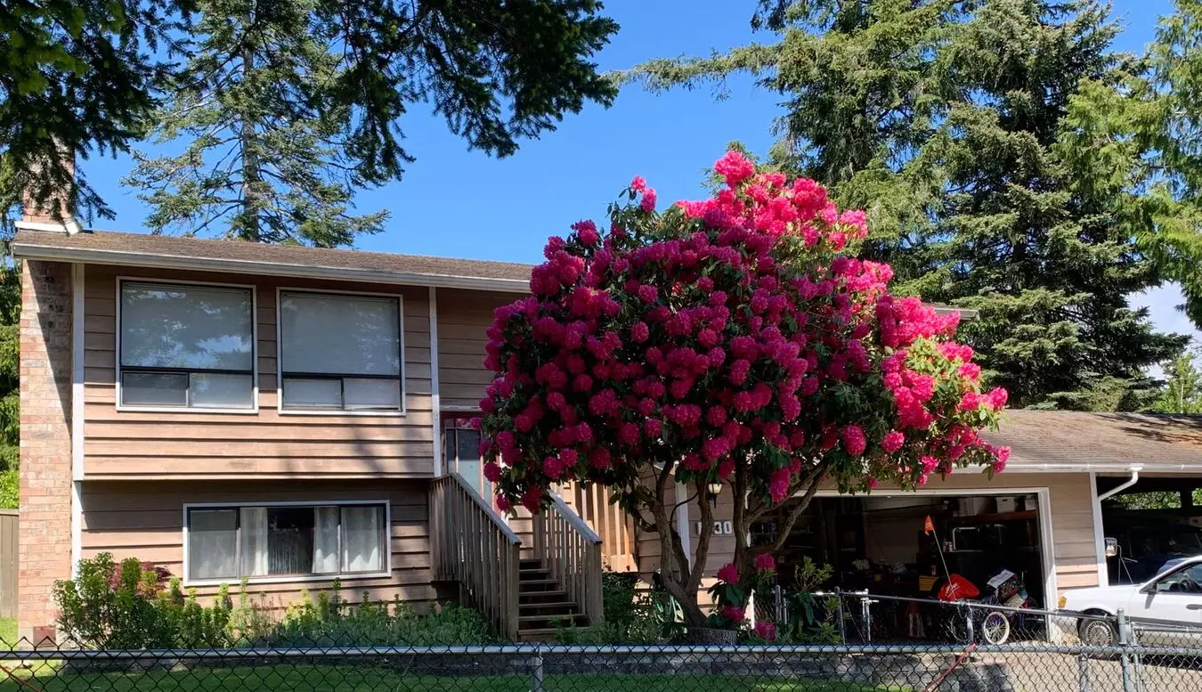 Preleasing Now! Split-level 4 Bedroom + 3 Bath House House for rent in Bellingham, WA