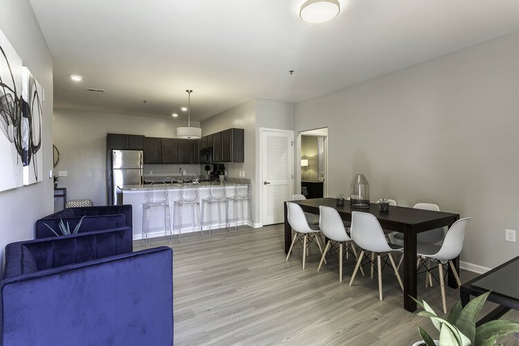 Southside Flats Apartments Knoxville, TN Rentable