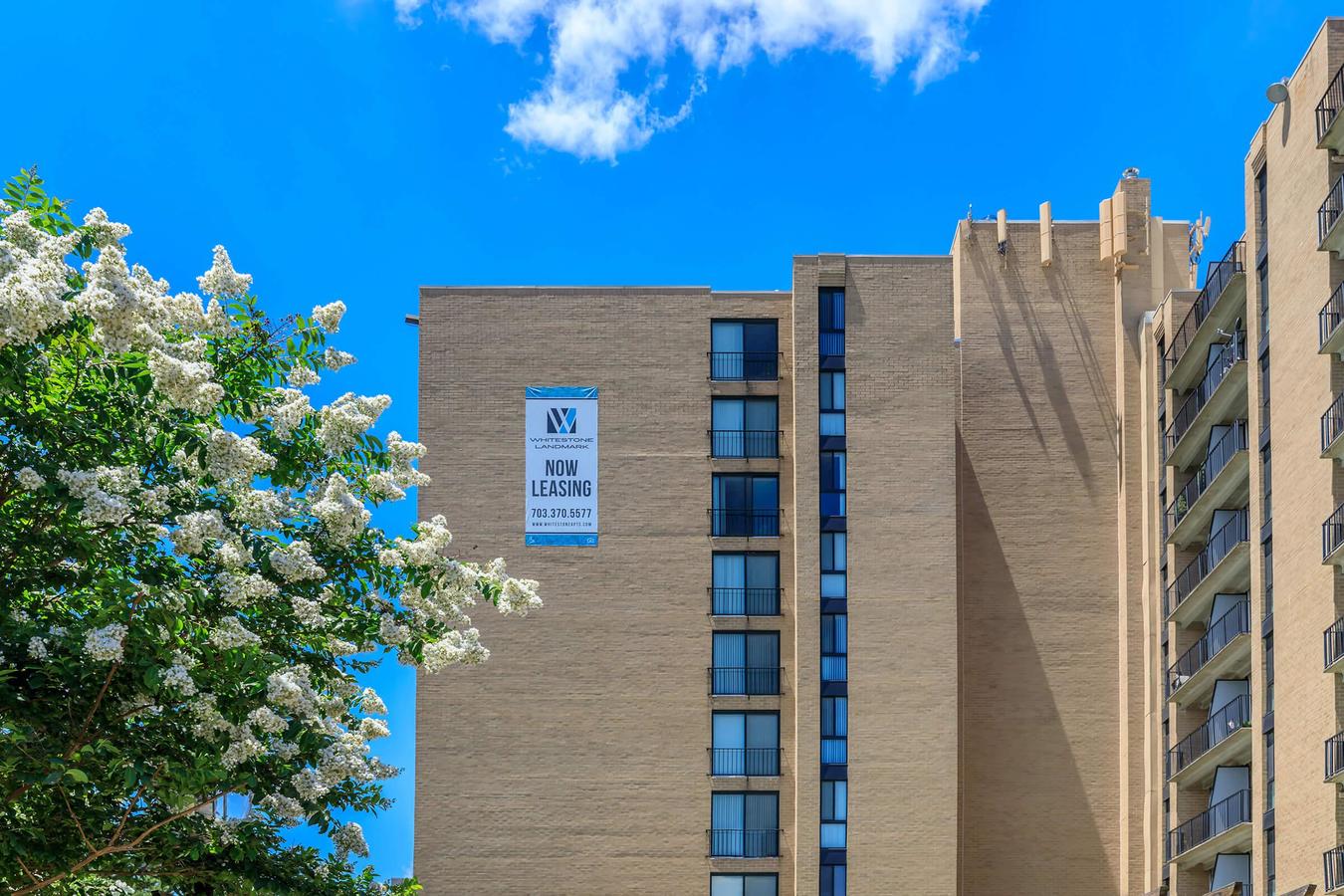 Whitestone at Landmark Apartments Alexandria, VA