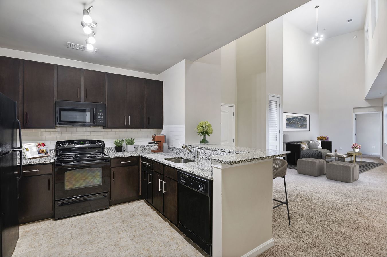 Crystal City Lofts Apartments Arlington, VA Rentable