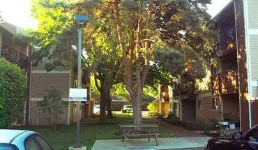 3 of 10 Crestview Court Apartment for rent in Beaverton, OR