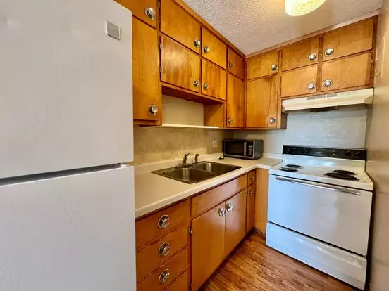 109 16th St NE Apartment for rent in Rochester, MN
