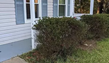 5 of 56 Seeking Roommates For Shared Home Apartment for rent in Marietta, GA