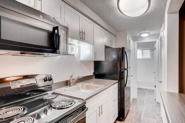 Estrella Apartment for rent in Denver, CO