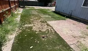 5 of 22 Cobalt - Back Apartment for rent in Sylmar, CA