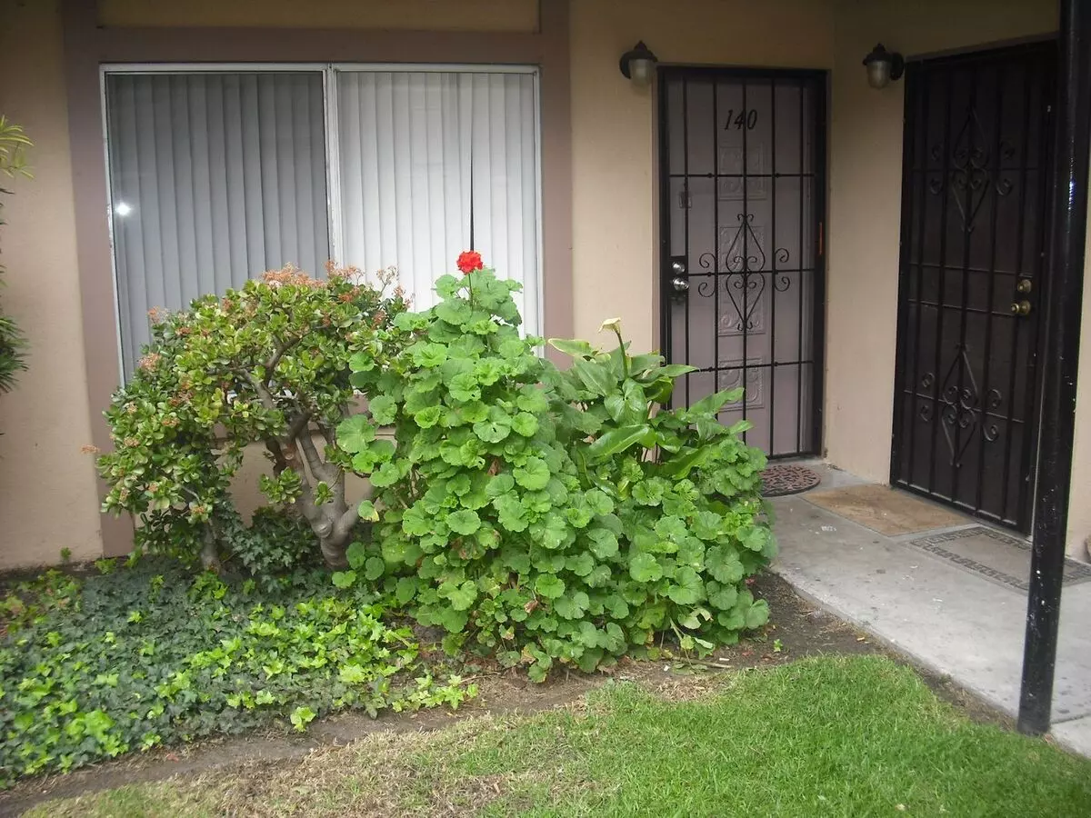 Wonderful 1 Bedroom Ground Floor Condo House for rent in Oxnard, CA