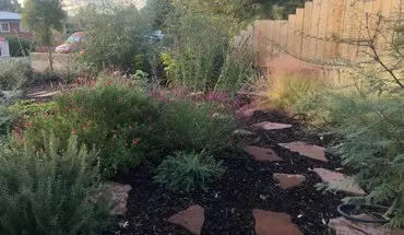 3 of 14 Adorable Nob Hill Tiny Home With Tons Of Extras House for rent in Albuquerque, NM