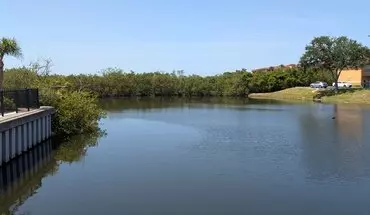 5 of 18 Move In Special, Half Off Rent!, No Hoa App Fees. 2 Bed/2 Bath, Beach Walk Gated Pool Community House for rent in Tampa, FL