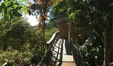 2 of 33 1021 E Benson Loop House for rent in Shelton, WA