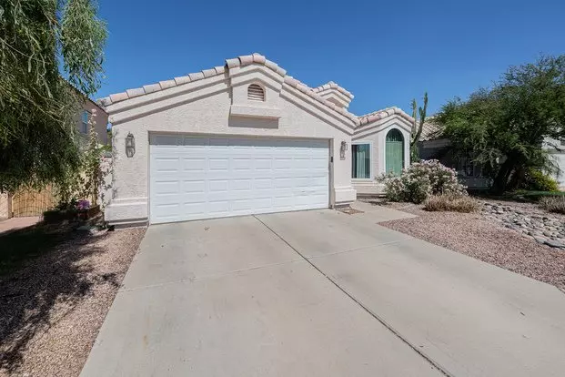 925 S Sailfish Dr Apartment for rent in Gilbert, AZ 925 S Sailfish Dr Apartment for rent in Gilbert, AZ
