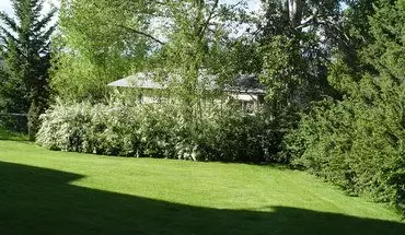 4 of 16 2 Bedroom 1.5 Bath Split Level Apartment Apartment for rent in Kalispell, MT