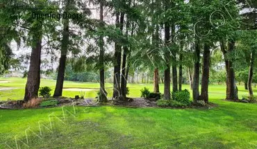 4 of 22 Indian Summer Gated Community, 3Bed 2.5 Bath House for rent in Olympia, WA