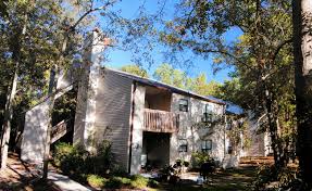 Spacious 2br - Water/sewer Included In Rent! Apartment for rent in Wilmington, NC