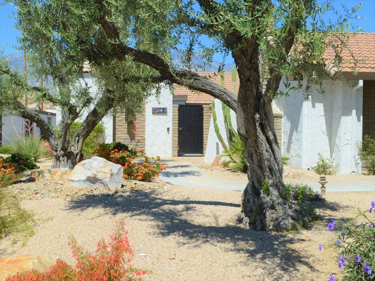 Canyon Sands 3B / 3B House for rent in Palm Springs, CA