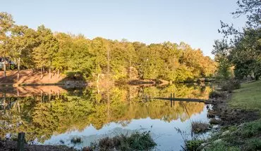 5 of 19 Braselton Basement Apartment House for rent in Braselton, GA