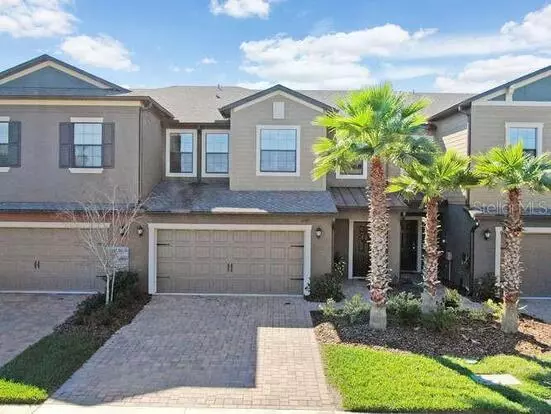 3289 Gentle Dell Ct Apartment for rent in Wesley Chapel, FL 3289 Gentle Dell Ct Apartment for rent in Wesley Chapel, FL