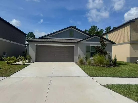 Beautiful Never Lived In 4 Bedroom 2 Bath Home In Zephyrhills Apartment for rent in Zephyrhills, FL